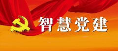 “互联网+党建”“智慧党建”的内涵阐释